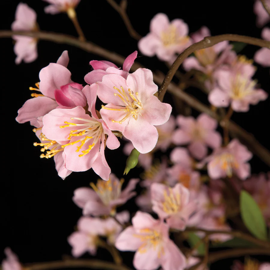 5'6" Cherry Blossom Flower Silk Tree w/Pot -Pink - Image 2
