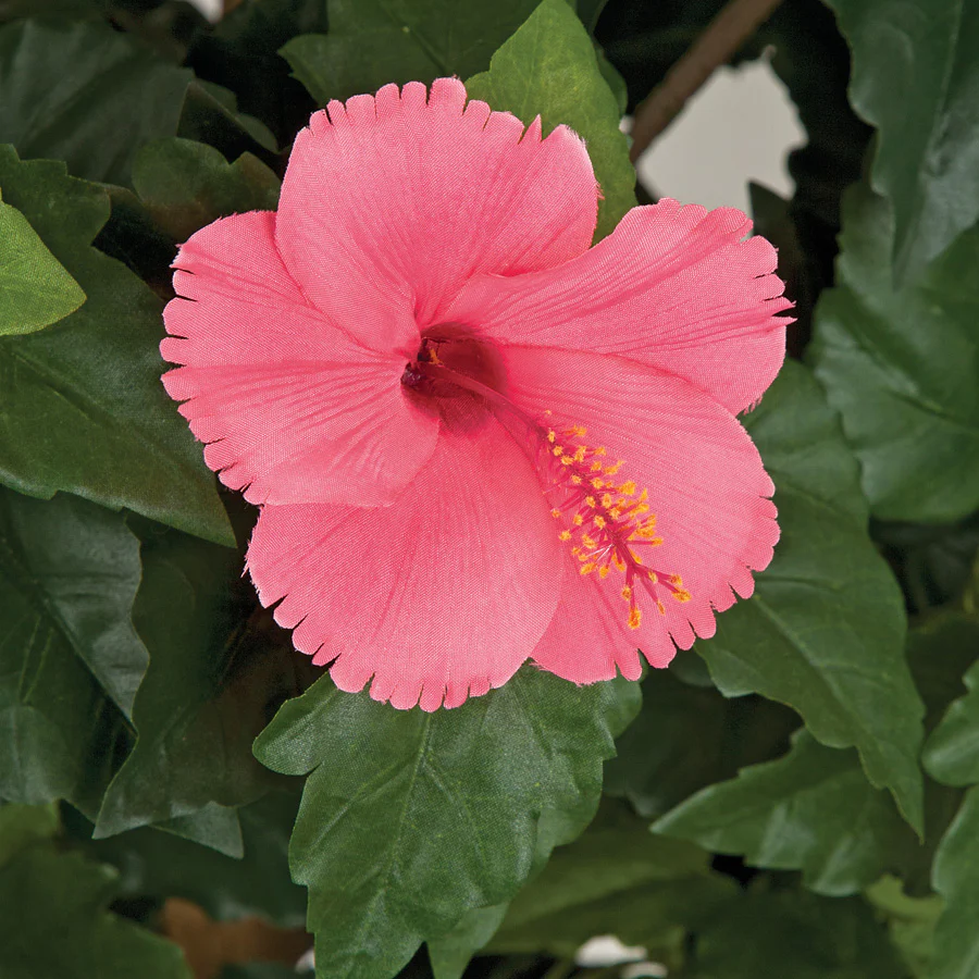 5'6" Hibiscus Flower Silk Tree w/Pot -Hot Pink - Image 2