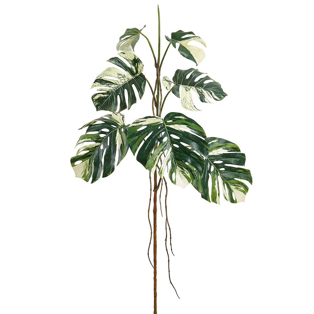 56" Monstera Split Philodendron Leaf Silk Branch Stem -Green/Cream (Pack of 2)