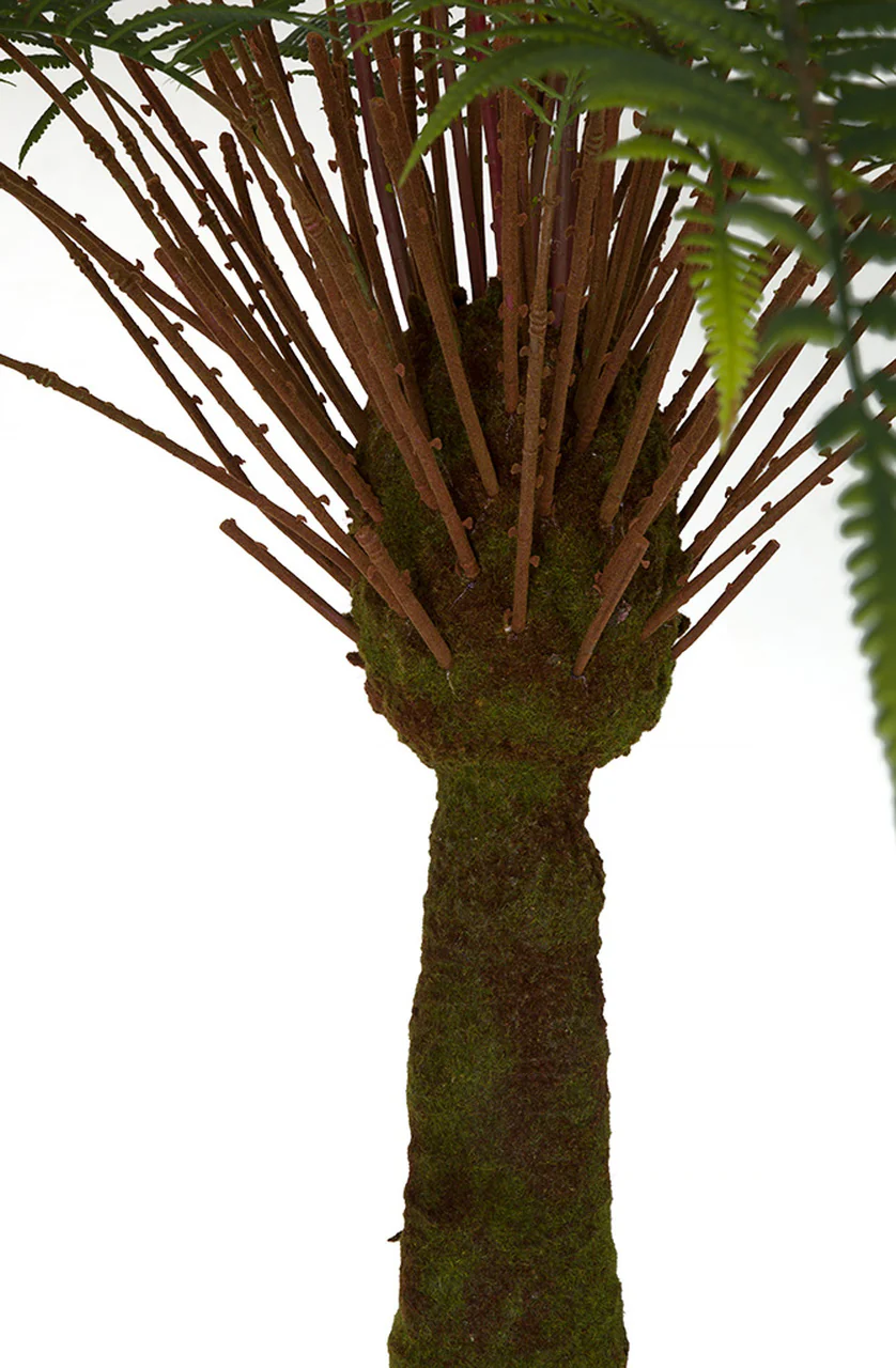 5'6" Silk Fern Palm Tree w/Pot -Green - Image 2
