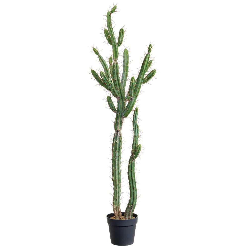 57.5" Artificial Peruvian Cactus w/Pot -Green