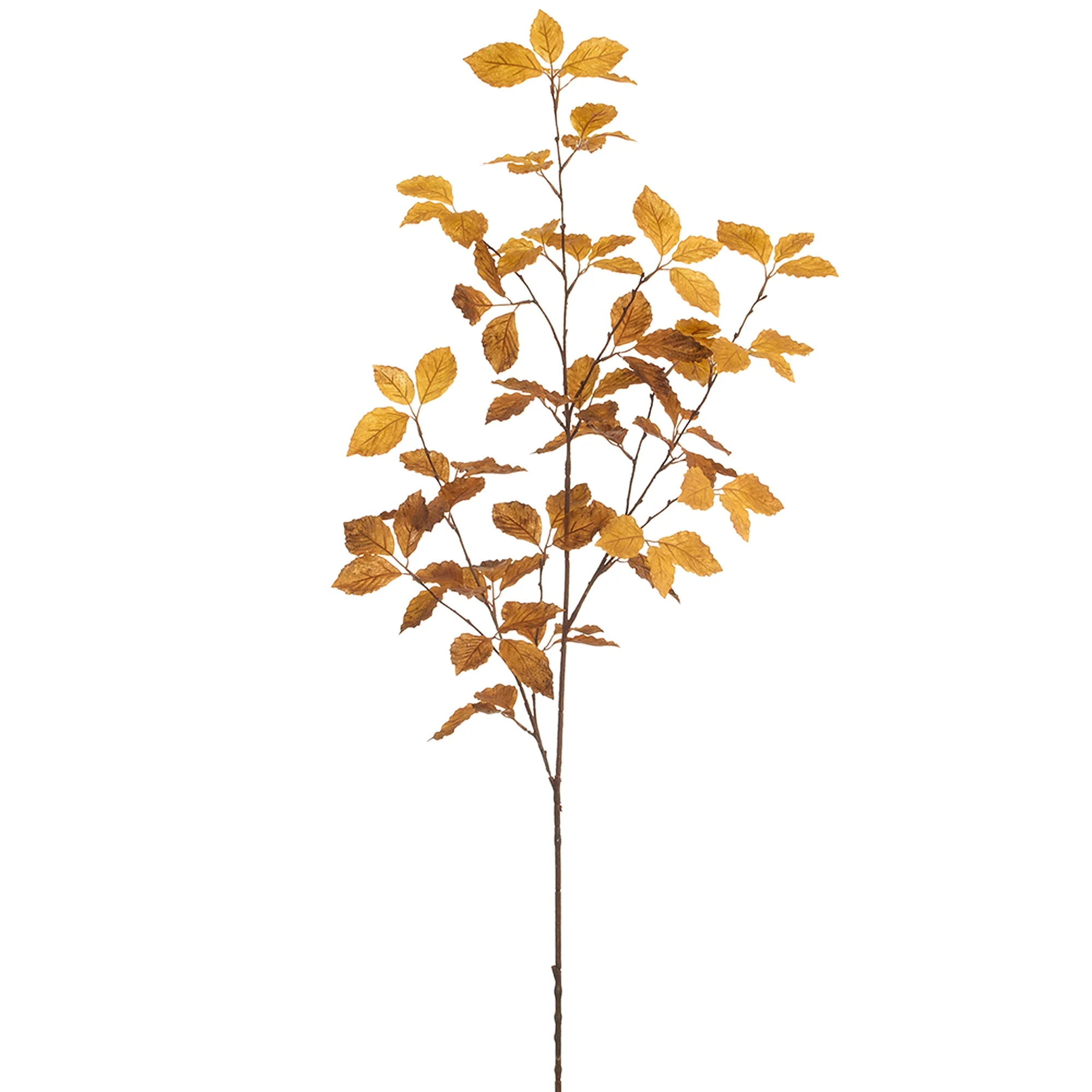 57" Beech Leaf Silk Stem -Brown (Pack of 12)