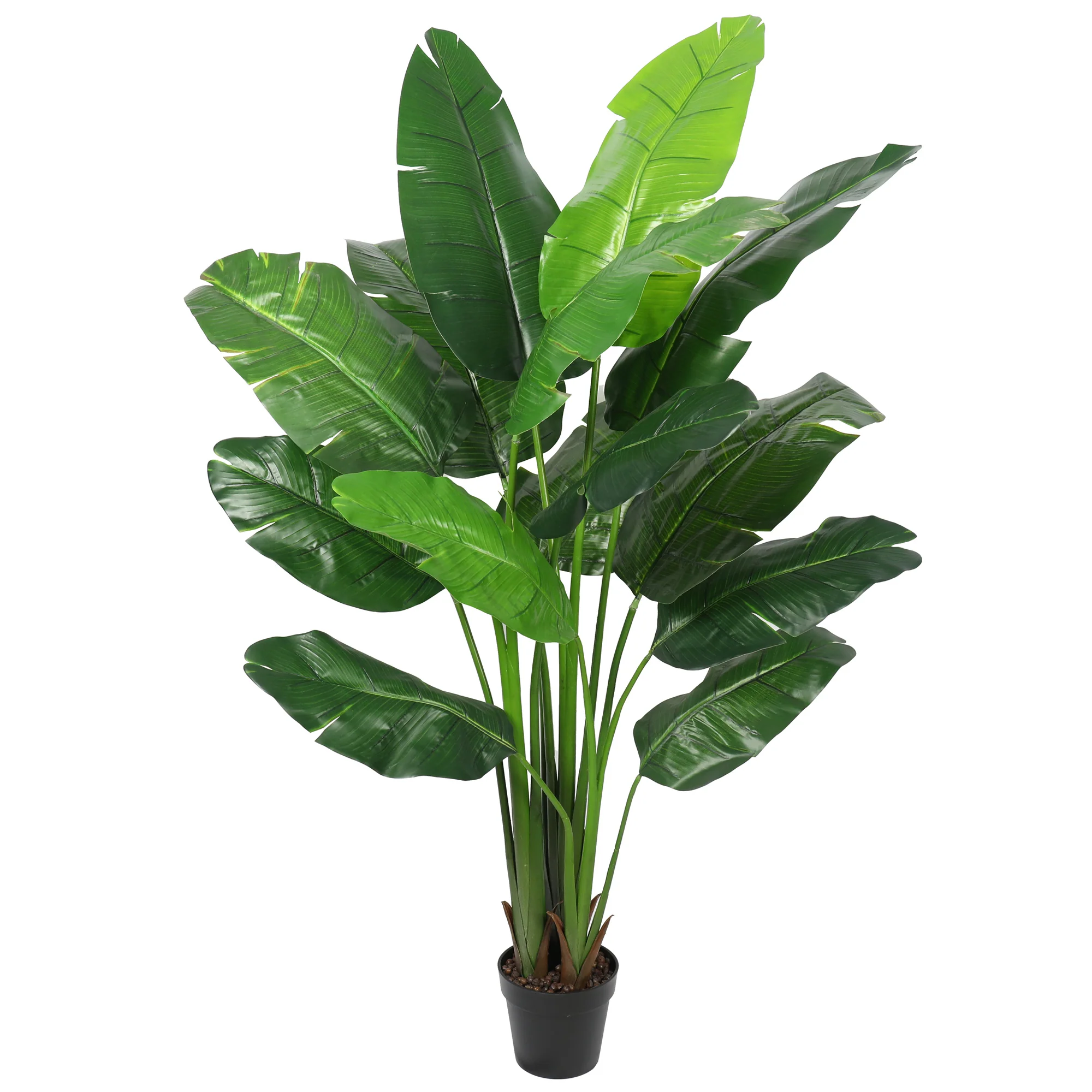 5'9" Triple Trunk Silk Travelers Palm Tree w/Pot -Green