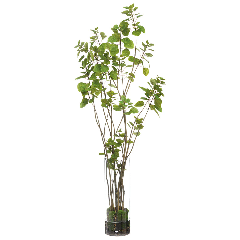5'9"Hx28"W Silk Cotinus Tree w/Tall Glass Vase -Green
