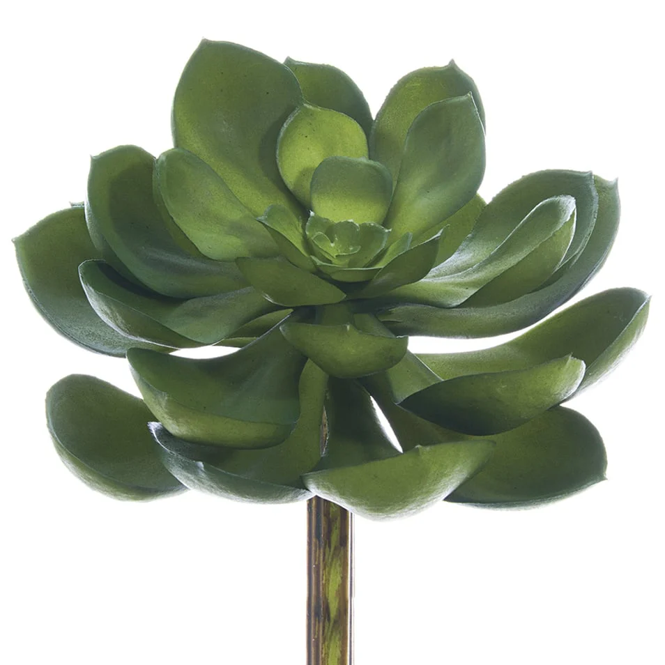 5"Hx6"W Real Touch Echeveria Artificial Stem Pick -Green (Pack of 12)