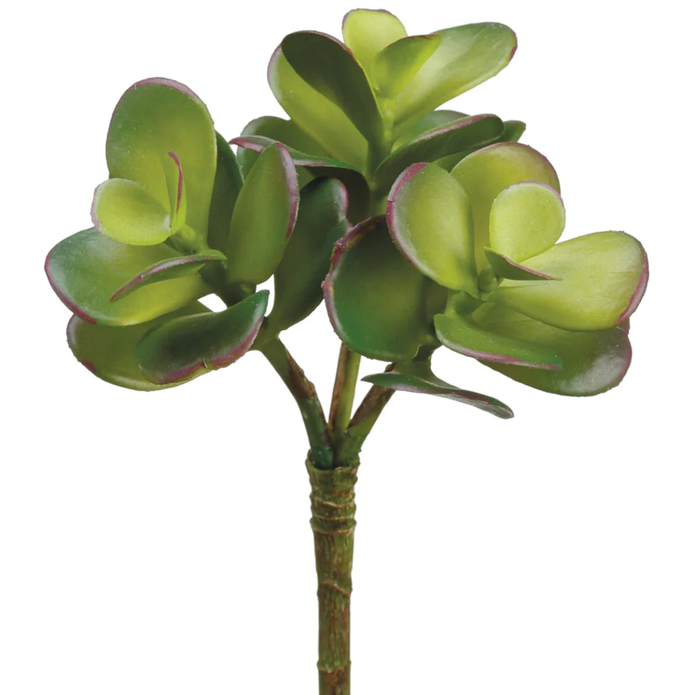 6.5" Jade Succulent Artificial Stem Pick -Green (Pack of 24)