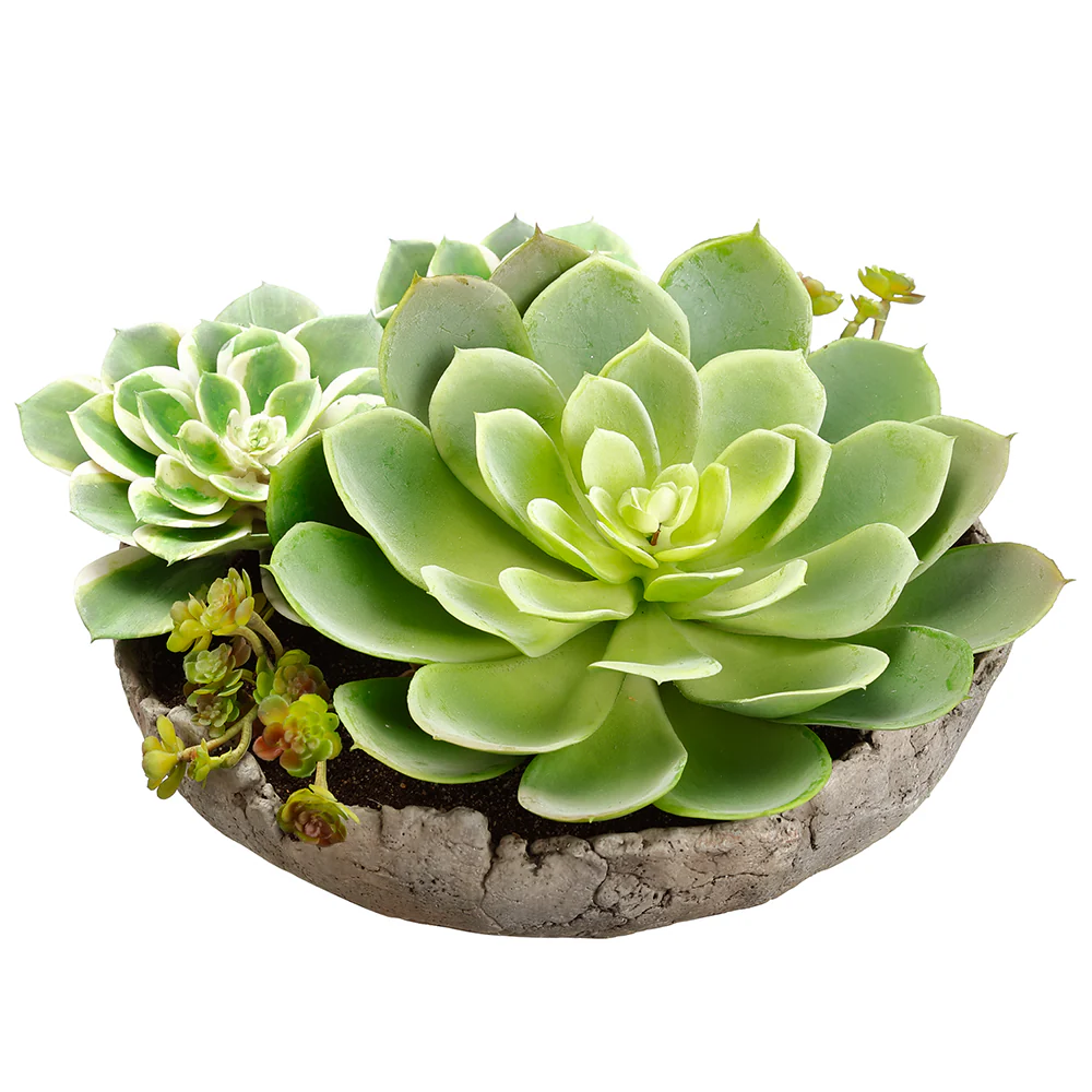 6.5" Mixed Artificial Succulent Garden Plant w/Cement Pot -Green (Pack of 2)