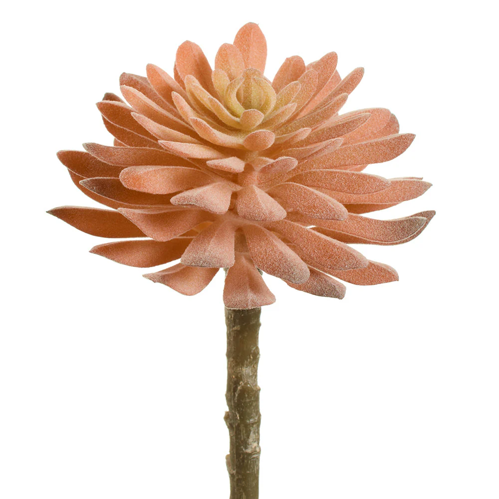 6" Aeonium Succulent Artificial Stem Pick -Coral (Pack of 12)