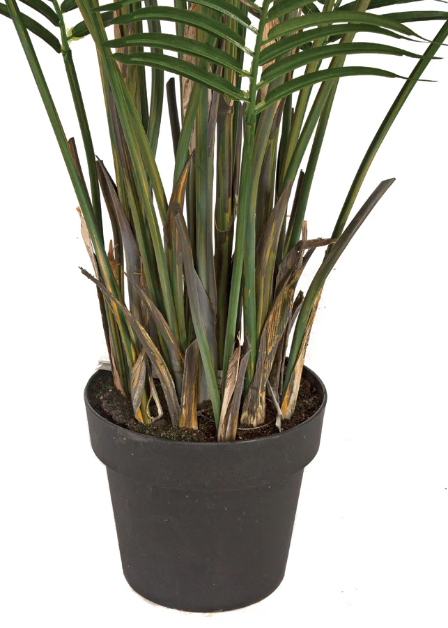 6' Areca Silk Palm Tree w/Pot -Green - Image 3