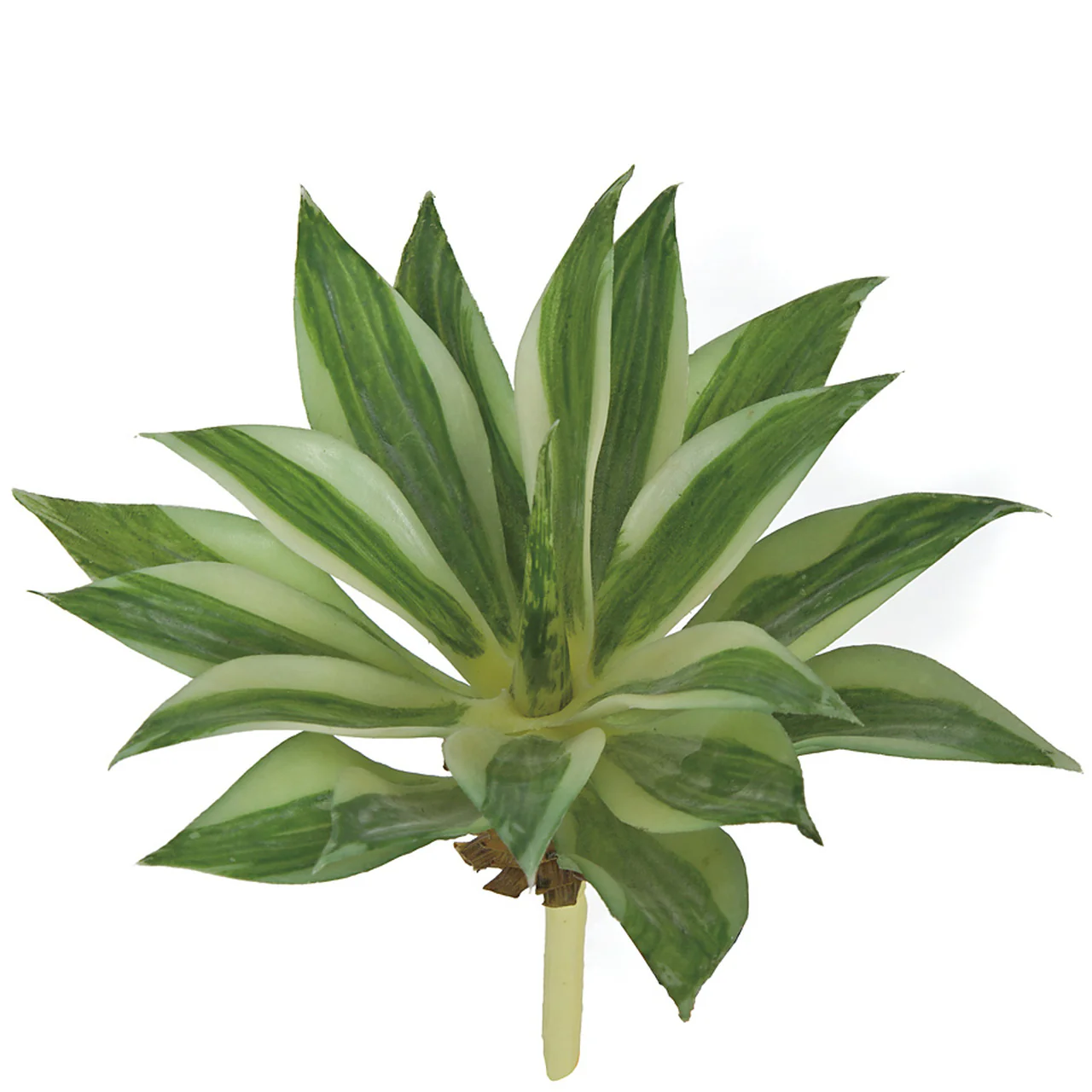 6" Artificial Agave Stem Pick -Green/Cream (Pack of 12) - Image 2