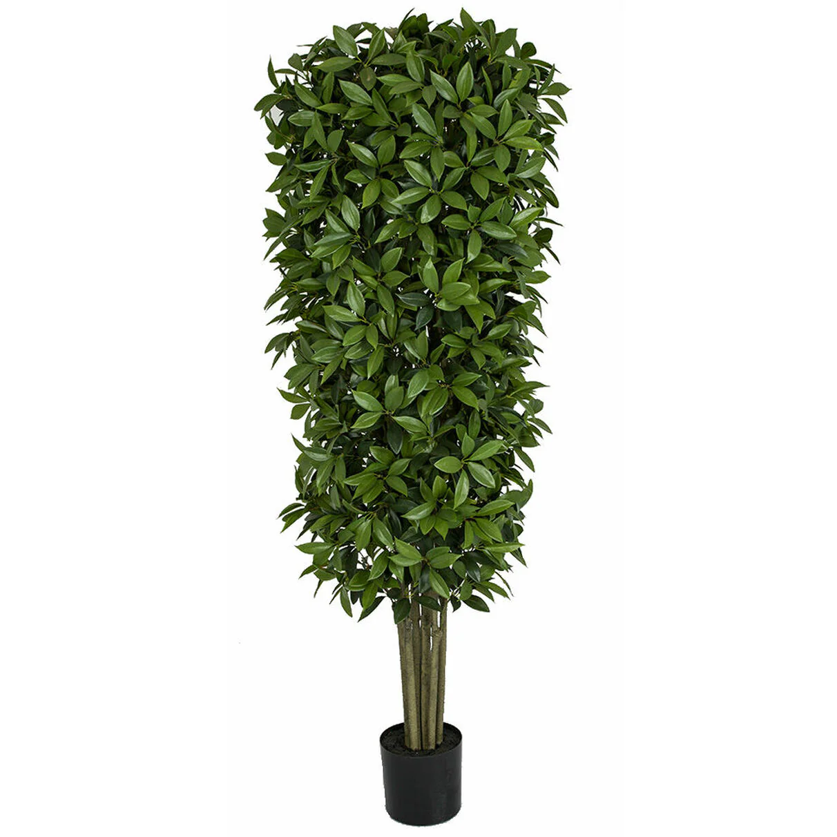 6' Artificial Bay Laurel Leaf Topiary Tree -2 Tone Green