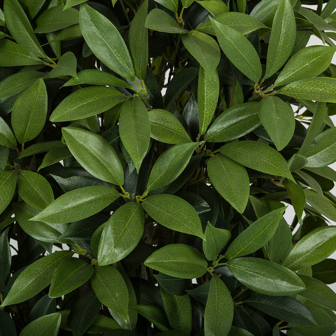 6' Artificial Bay Laurel Leaf Topiary Tree -2 Tone Green - Image 2