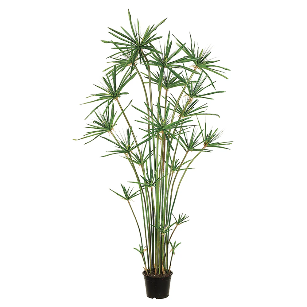 6' Artificial Papyrus Grass Plant w/Pot -Green