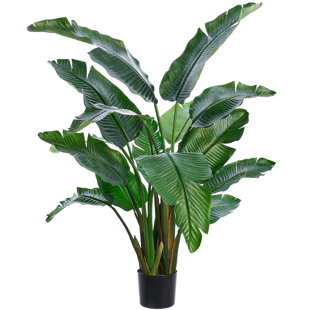 6' Bird Of Paradise Silk Palm Tree w/Plastic Pot -Green