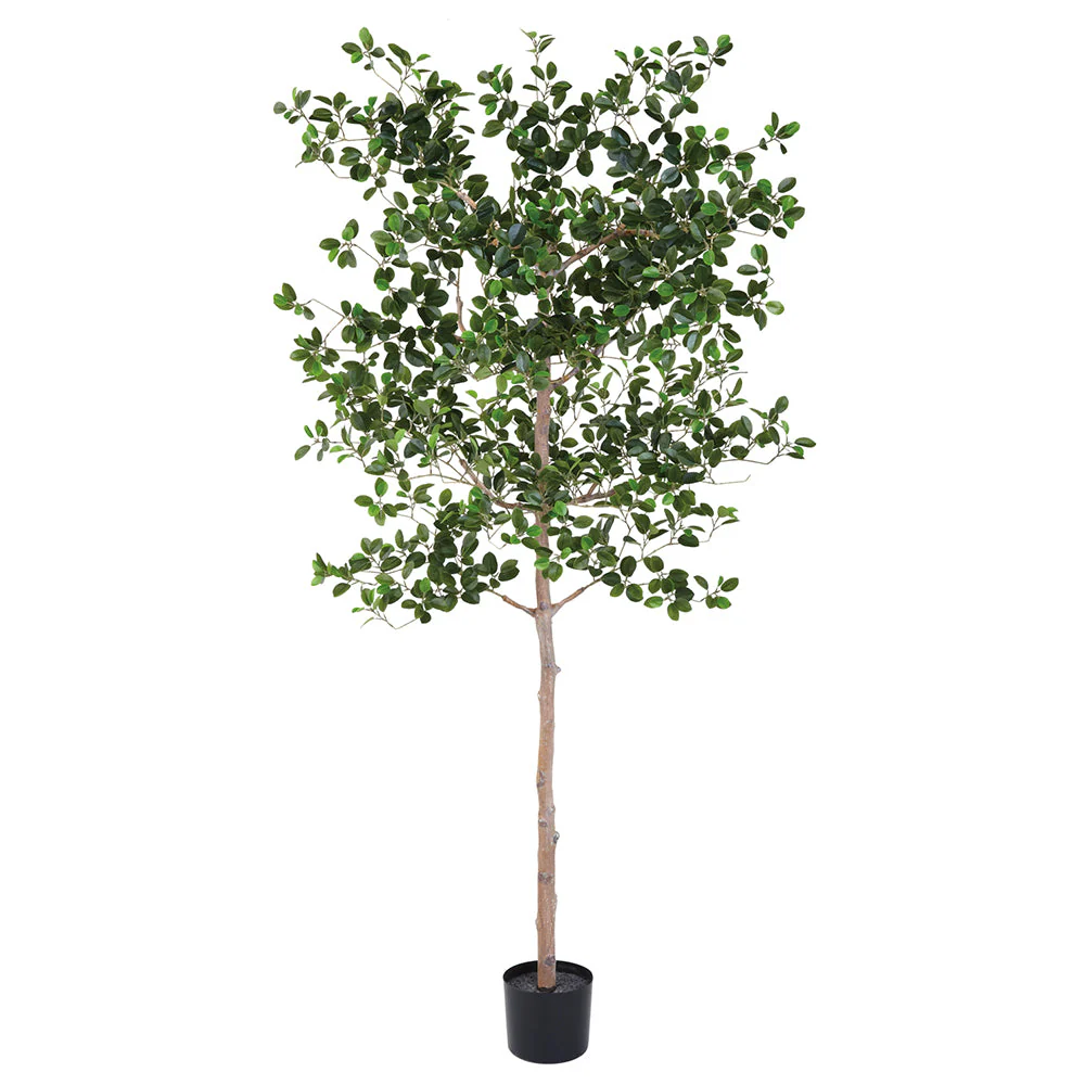 6' Ficus Moclame Leaf Silk Tree w/Pot -Green