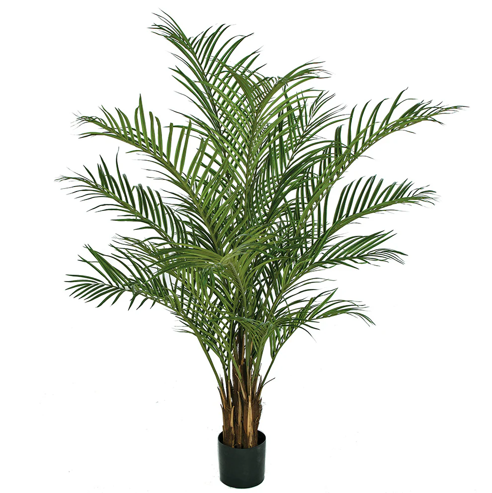 6' IFR Areca Artificial Palm Tree -Green