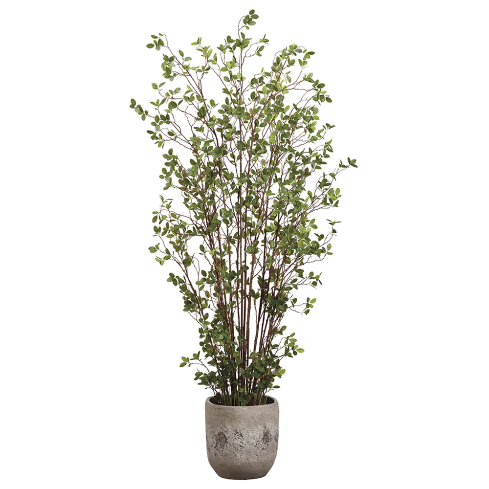 6' Mini Leaf Silk Plant w/Cement Planter -Green