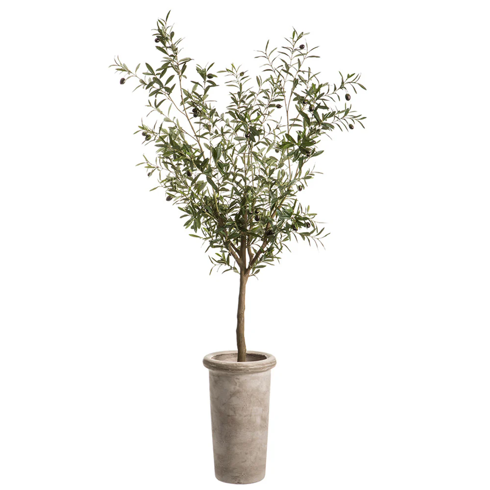 6' Olive Silk Tree w/Cement Planter -Green