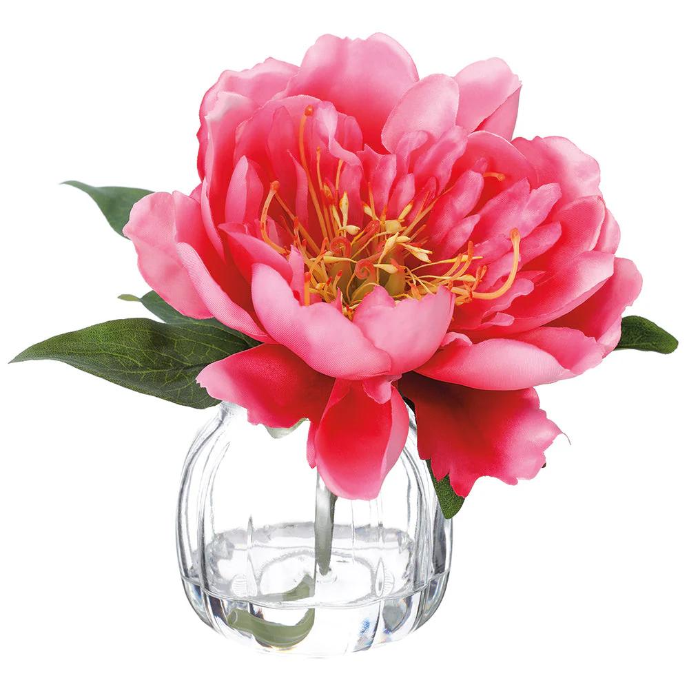 6" Peony Silk Flower Arrangement w/Glass Vase -Cerise (Pack of 6)