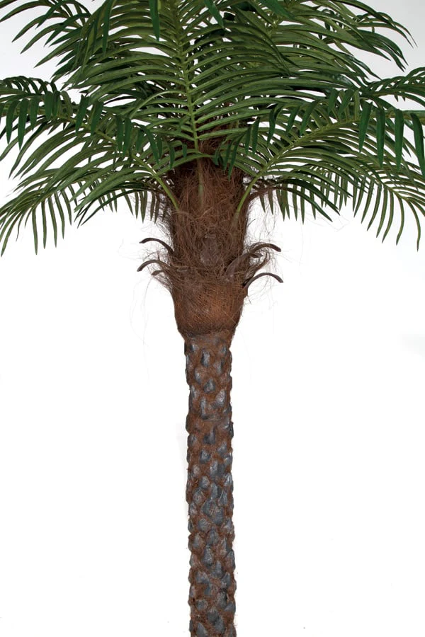 6' Phoenix Date Silk Palm Tree w/Pot -Green - Image 2