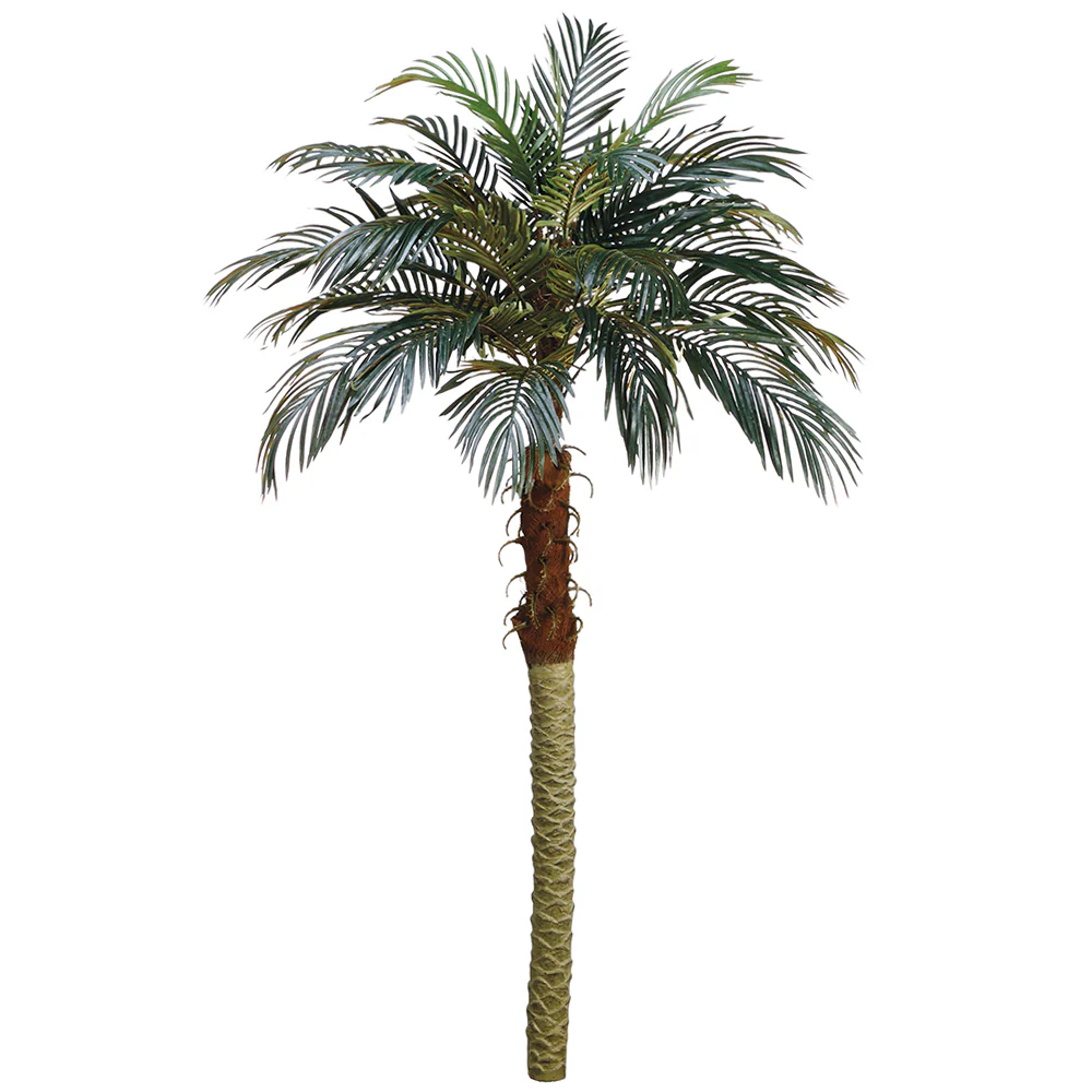 6' Phoenix Silk Palm Tree -Green (Pack of 2)