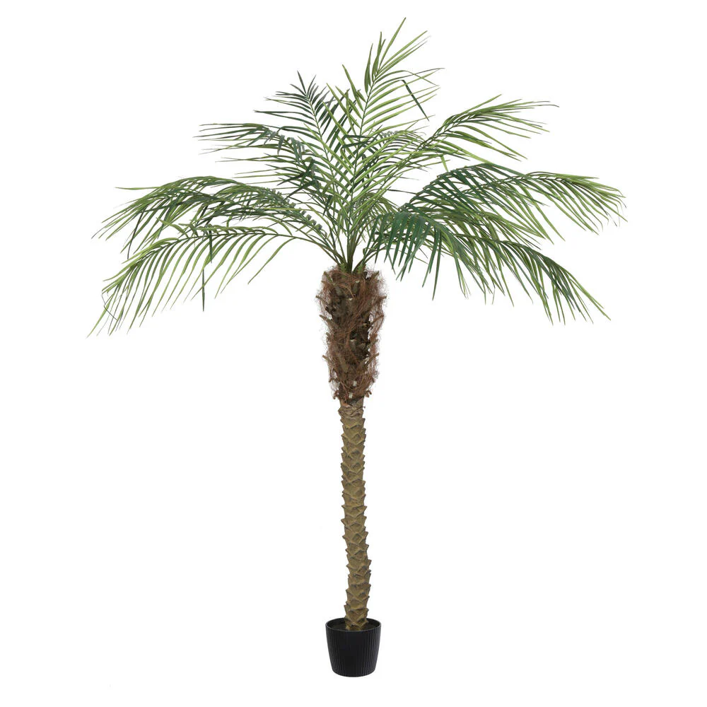 6' Phoenix Silk Palm Tree w/Pot -Green