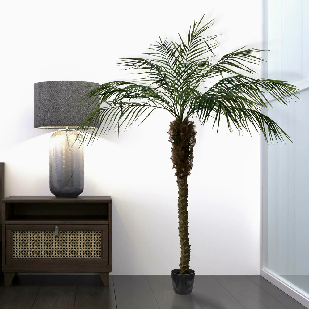 6' Phoenix Silk Palm Tree w/Pot -Green - Image 7
