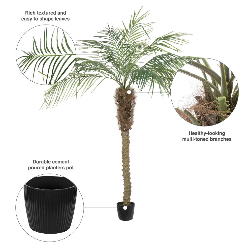 6' Phoenix Silk Palm Tree w/Pot -Green - Image 8