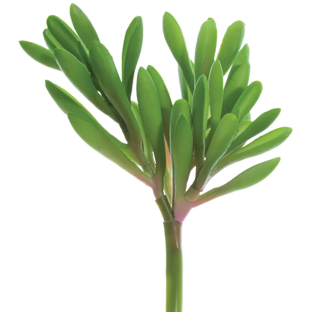6" Real Touch Aeonium Artificial Stem Pick -Green (Pack of 36)