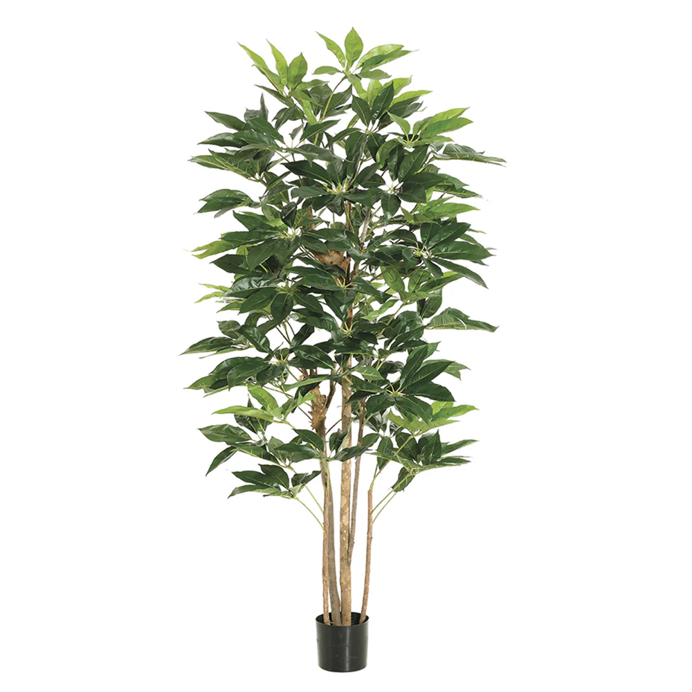 6' Schefflera Silk Tree w/Pot -Green (Pack of 2)