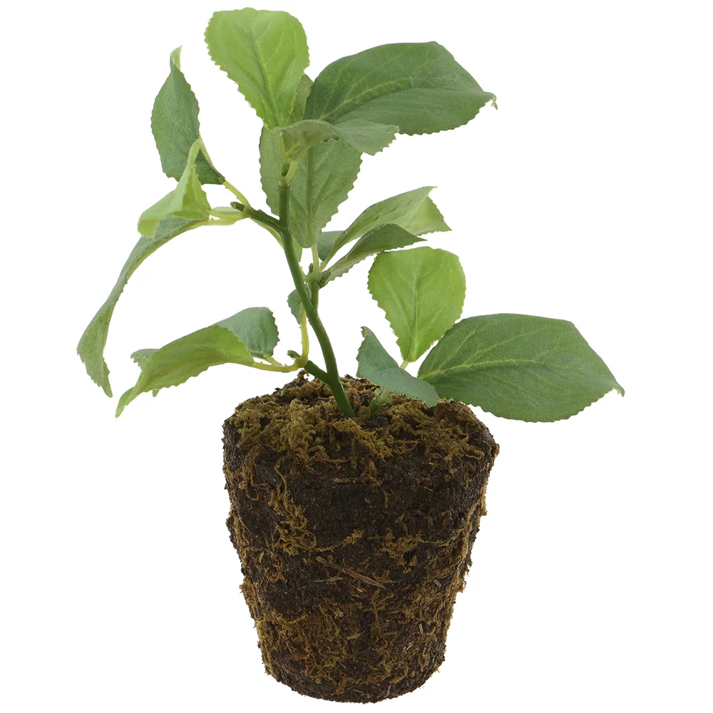 6" Silk Apple Leaf Plant w/Soil Ball -Green (Pack of 12)
