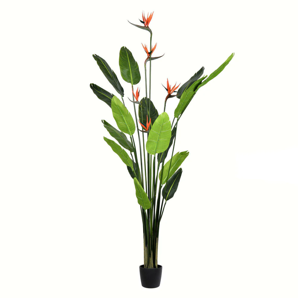 6' Silk Bird Of Paradise Palm Tree w/Plastic Pot -Green