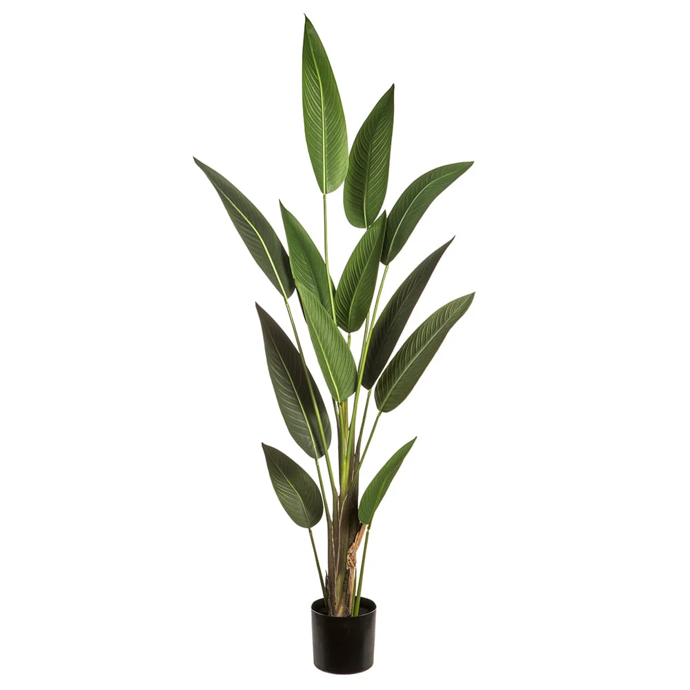 6' Silk Bird Of Paradise Palm Tree w/Plastic Pot -Green (Pack of 2)