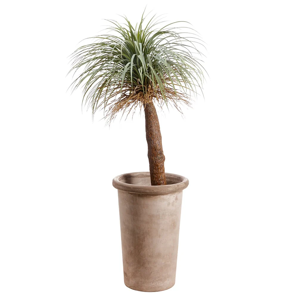 6' Silk Desert Palm Tree w/Metal Planter -Green