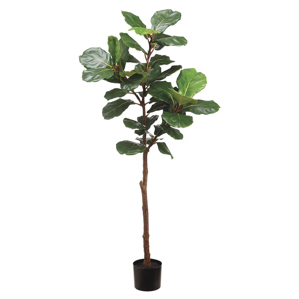 6' Silk Fiddle Leaf Fig Tree w/Pot -Green