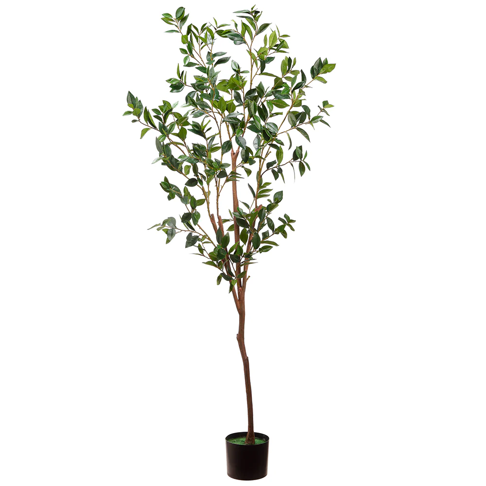 6' Silk Laurel Tree w/Pot -Green (Pack of 2)
