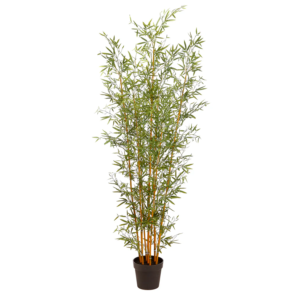 6' Silk Mini Bamboo Tree w/Plastic Pot -Green/Natural
