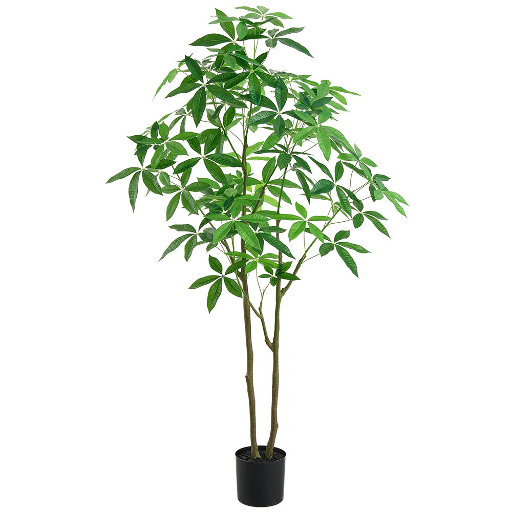 6' Silk Money Tree w/Plastic Pot -Green
