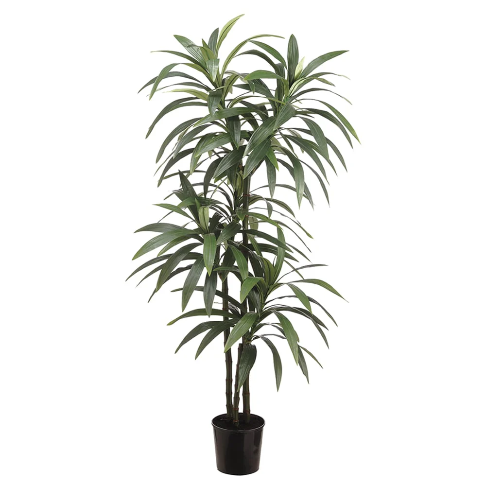 6' Silk Yucca Tree w/Pot -Green (Pack of 2)