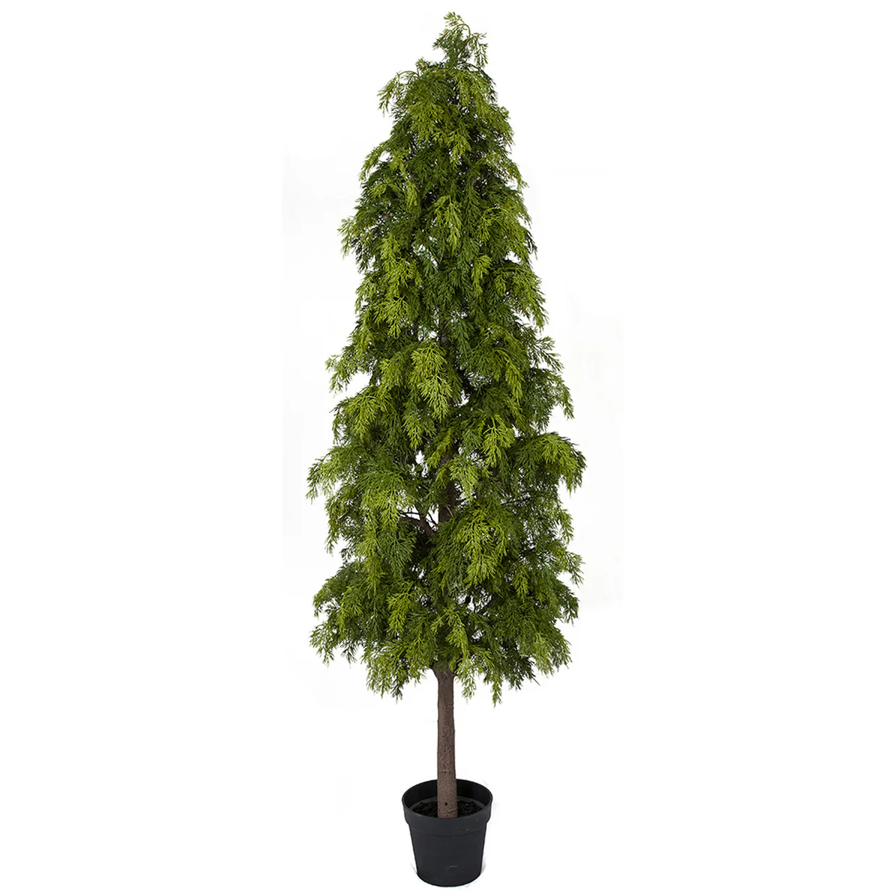 6' Soft-Touch Artificial Hinoki Cypress Tree w/Pot -Green