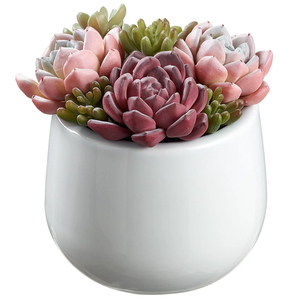 6" Succulent Garden Artificial Plant w/Ceramic Pot -Green/Pink (Pack of 4)