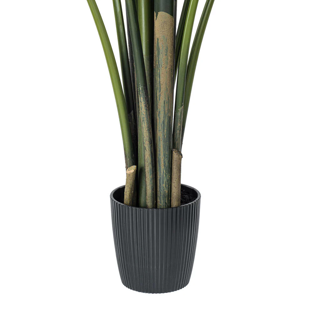 6' Travelers Silk Palm Tree w/Plastic Pot -Green - Image 4