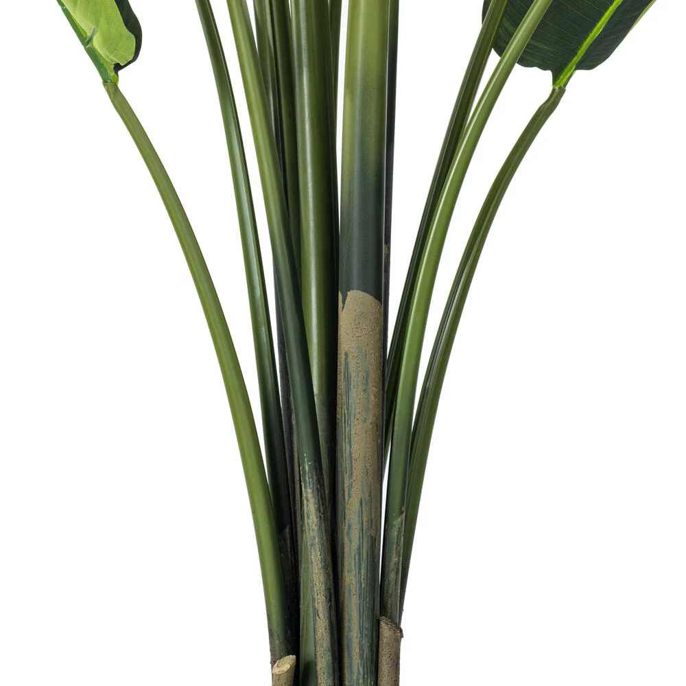 6' Travelers Silk Palm Tree w/Plastic Pot -Green - Image 5