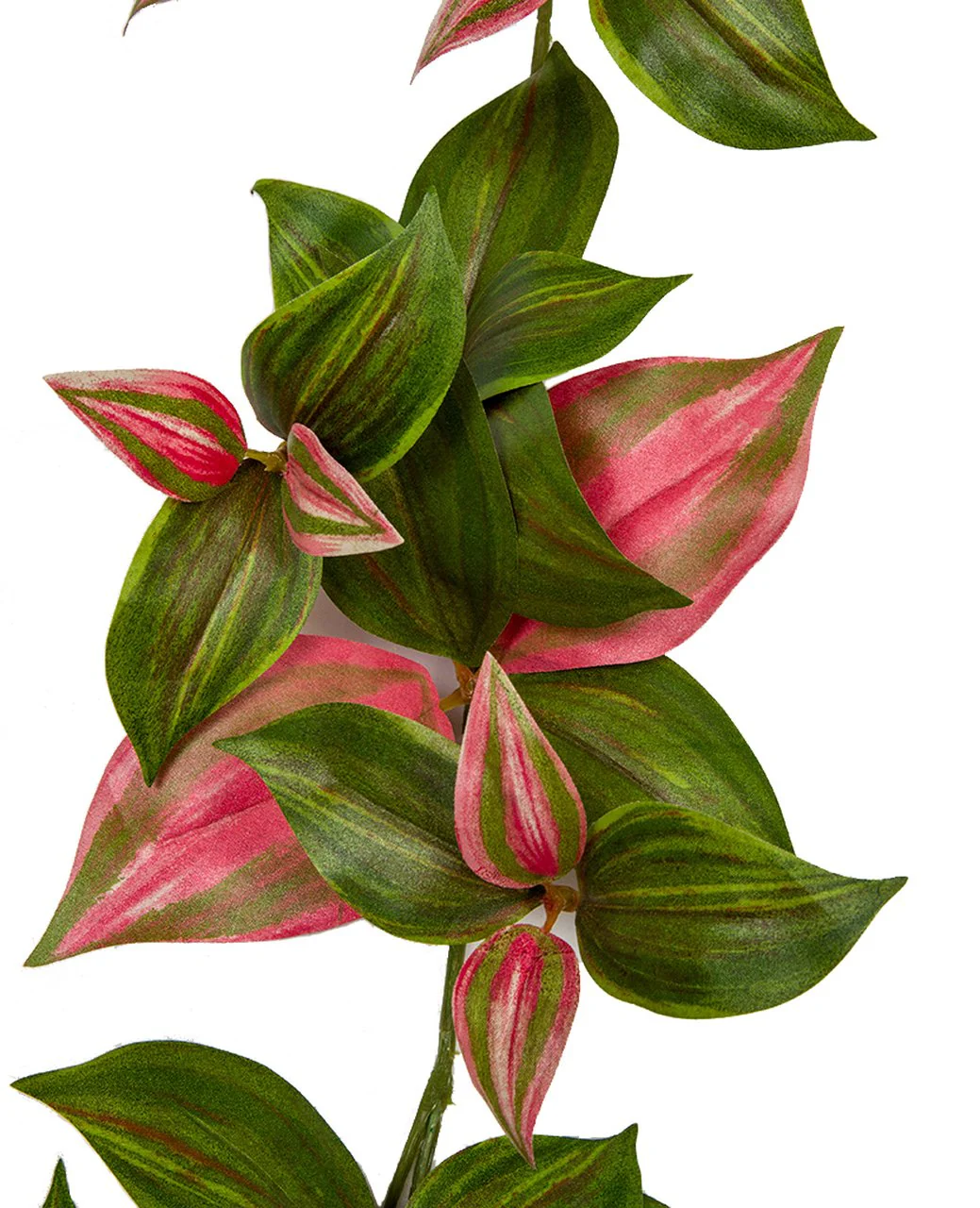 6' Wandering Jew Leaf Silk Garland -Pink/Green (Pack of 6) - Image 2