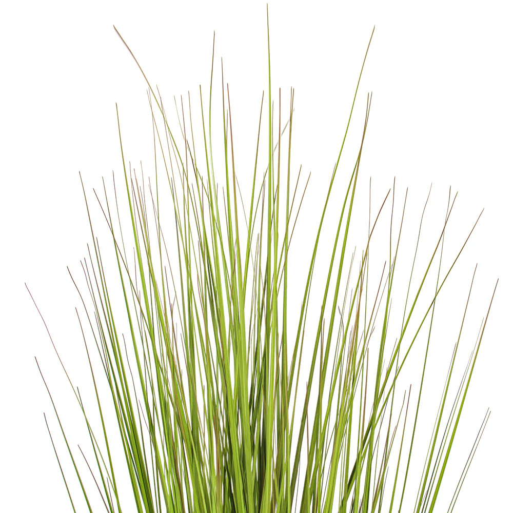 60" Flax Grasss Artificial Plant w/Pot -Green/Burgundy - Image 4