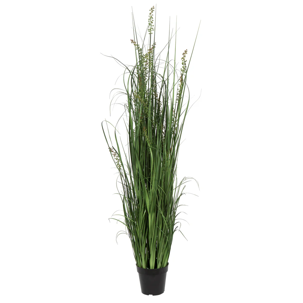 60" IFR PVC Sheep's Grasss Artificial Plant w/Pot -Green