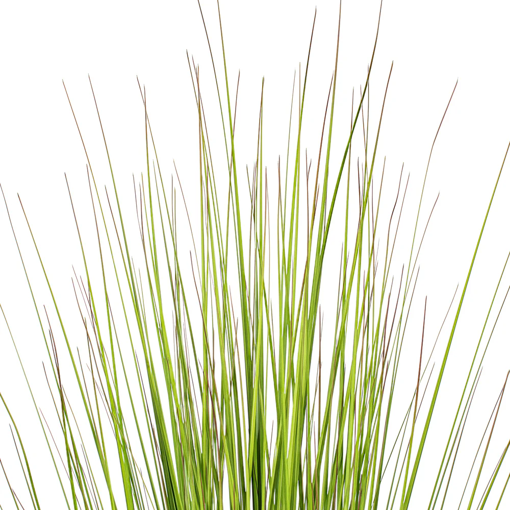 60" Lemongrasss Artificial Plant w/Pot -Green - Image 2