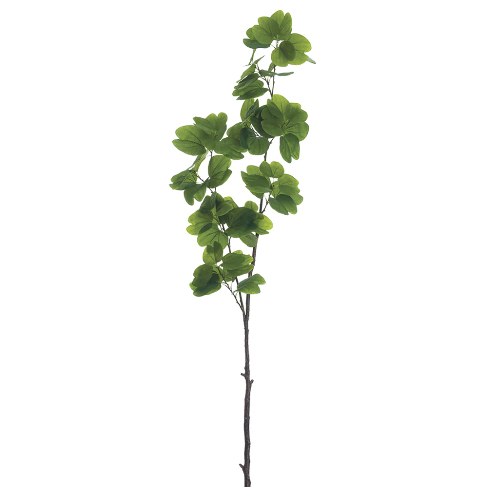 61.5" Bauhinia Hong Kong Orchid Tree Silk Branch Stem -Green (Pack of 6)
