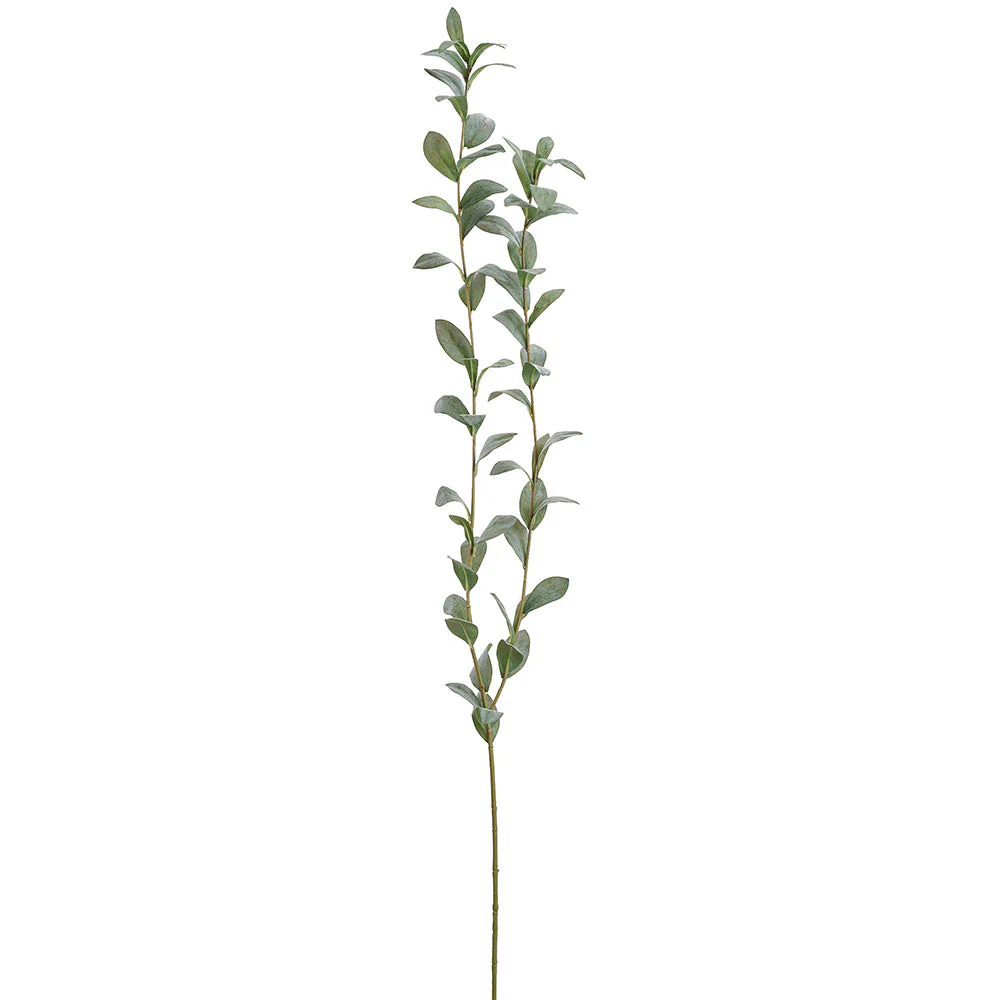 61" Ruscus Hypophyllum Leaf Artificial Stem -Green/Gray (Pack of 6)