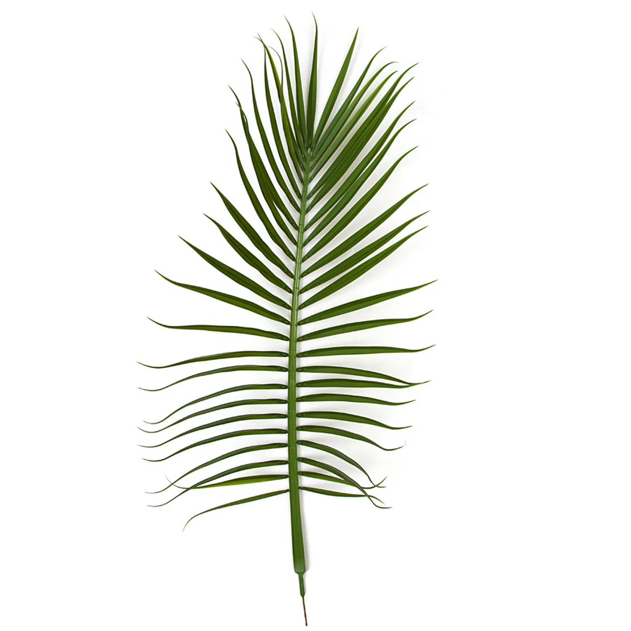 62" Outdoor UV-Resistant Artificial Royal Palm Branch Stem -Green (Pack of 2)